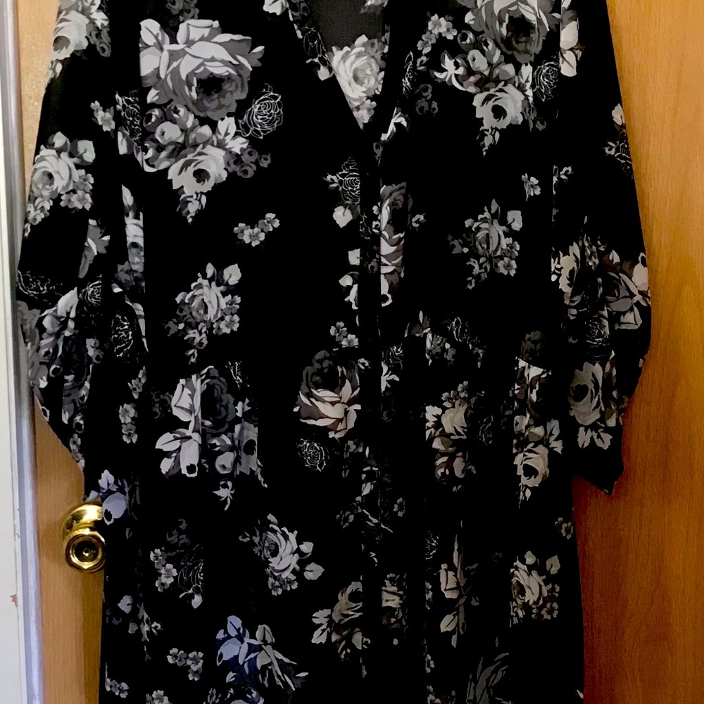 Torrid Size 4 see through dress